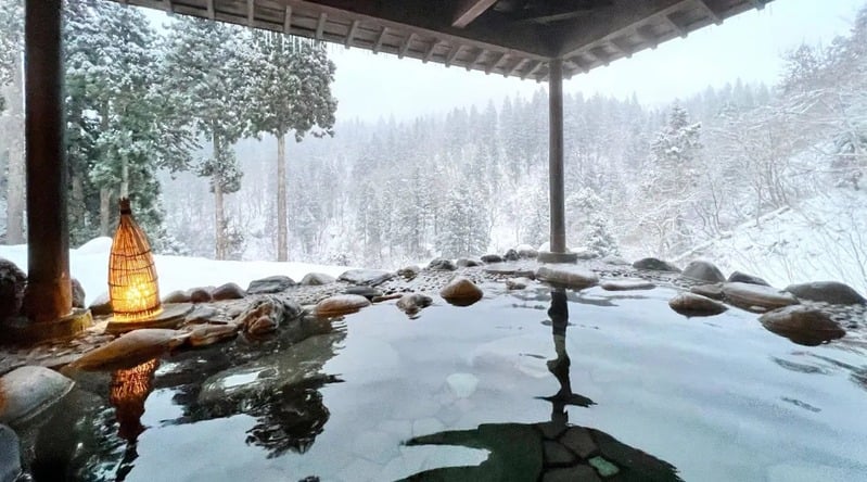 Outdoor onsen overlooking snow-covered forest
