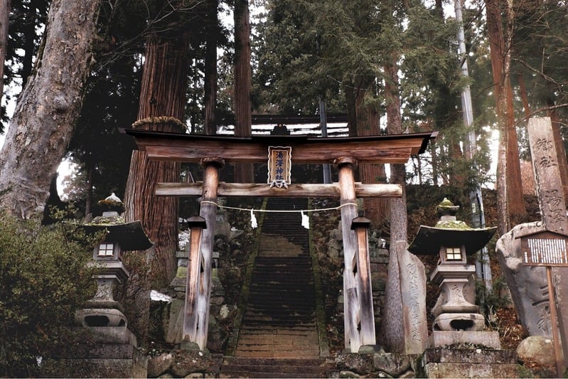 Ancient wooden torii gate at forest shrine