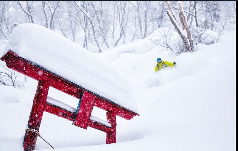 Snowboarder passing a red torii gate in deep powder